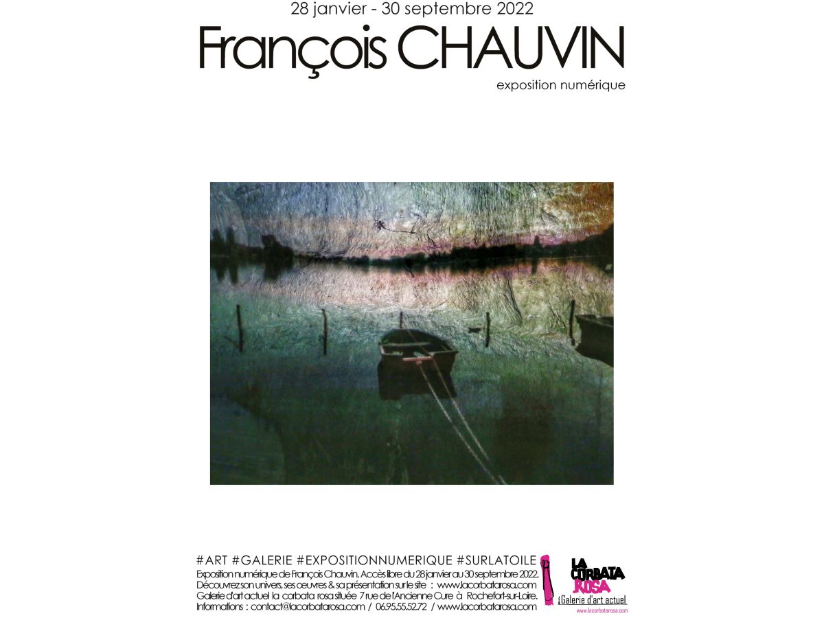 Copie de François Chauvin, l'exposition numérique