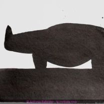 Rhino N°1 - oeuvre encadrée