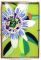 Passiflore V