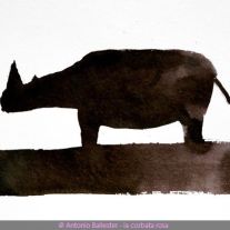 Rhino N°2 - oeuvre encadrée