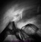 PL 2011-02-23 A