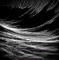 PL 2011-04-19 A