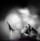PL 2011-04-09 A