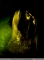 PL 2010-01-26C