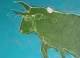 vache 007