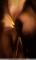 PL 2014-03-17C