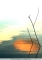 PL-2005-09-25A