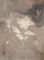 Lumen Prints
