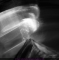 PL 2011-01-18 B