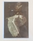 Lumen prints