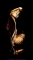 PL 2013-02-24 A