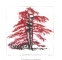 Anne Morea, Les arbres du bonheur XIV