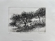 Anne Morea, Ecriture d'arbre II