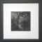 Collodion humide