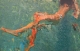 Acqua XIII