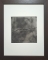 Collodion humide