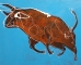 vache 30F