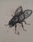 La mouche