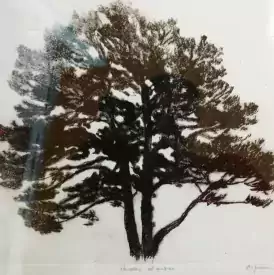 /