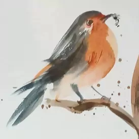 /
